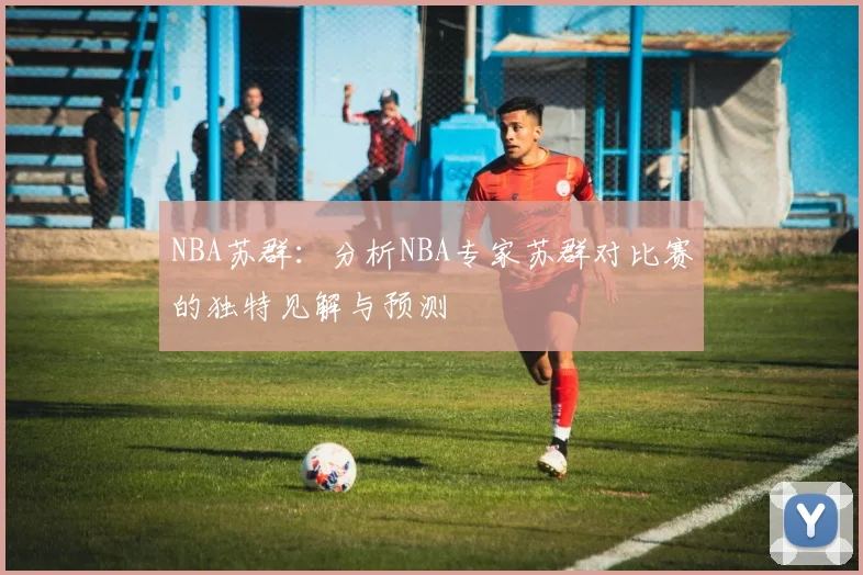 NBA苏群：分析NBA专家苏群对比赛的独特见解与预测