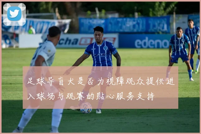 足球导盲犬是否为视障观众提供进入球场与观赛的贴心服务支持