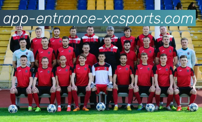 杏彩体育平台生态图