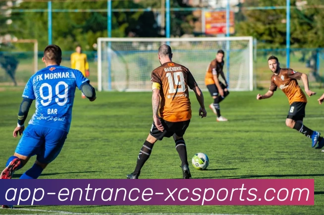 杏彩体育APP 封面图