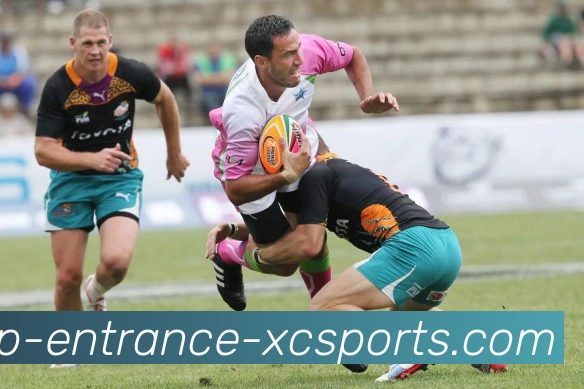 数据防护可视化